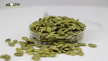 Pumpkin seeds kernel