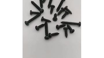 Phillips Pan Head Sheet Metal Screw