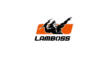 LAMBOSS Automotive maintenance products