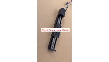 Electric Linear Module