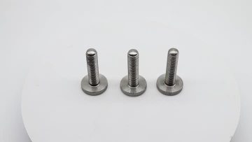 Thumb Screw Stainless Steel