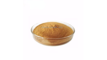 Youth Biotech Supply Plant Extract Organic African Baobab Powder1