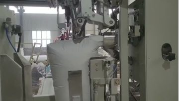 Pneumatic Valve Packaging Machine