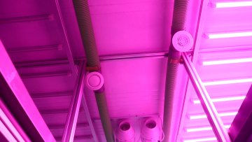 Greenhouse Supplies Smart Farms Hydroponic Container Farm Mushroom Growing Equipment1