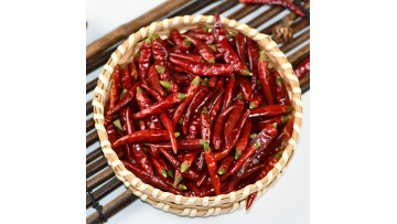 Babysbreath chili Dried chilli