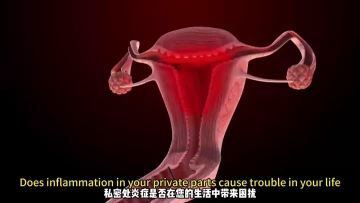  Vagina Anti-inflammatory and De-stasis Gel
