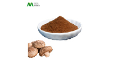 18 Years Manufacturer Supply Ahcc Powder Shiitake Mushroom Extract 30%1