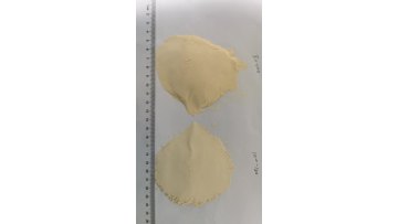 garlic powder diffierent mesh