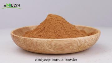 cordyceps extract powder