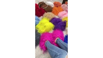 fur slides  (1)