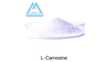 L-Carnosine cas:305-84-0