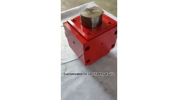 260 200-20 Metallurgical hydraulic cylinder