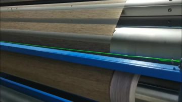 double roller lien-1