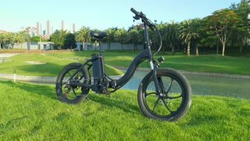 BK6 20 inch electric bike