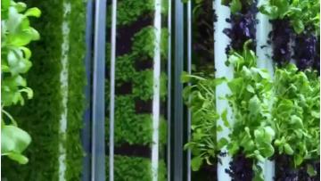 pc sheet greenhouse