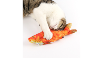video cat toys fish