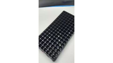 seeding tray