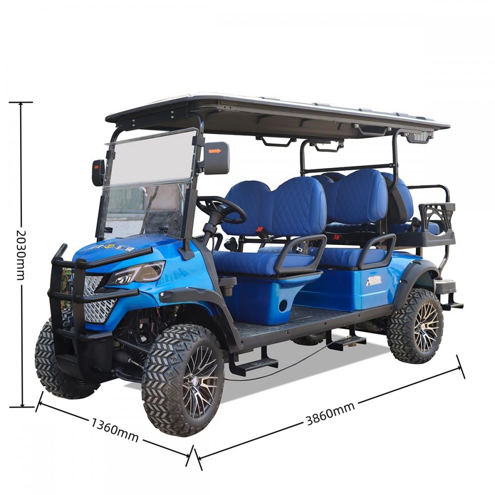 New electric golf cart