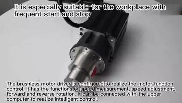 0.07cc Gear pump