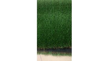 2198artificial turf