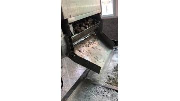 Abalone washing
