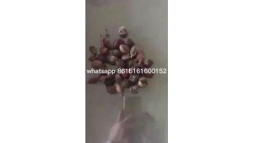coffee powder grinding machine 