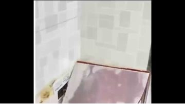 Multifunctional shovel