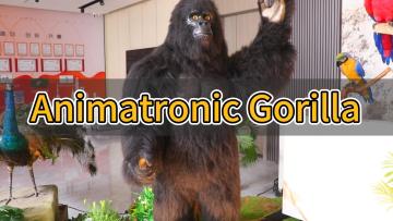 animatronic gorilla video