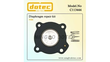 C113444NBR diaphragm