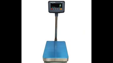 Carbon steel platform scale