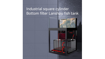fish            tank                              