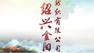 company introduction.mp4