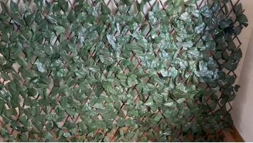 Display the simulated green plant expansion joint peach leaf