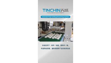 Automatic Pulp moliding lids packing machine