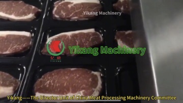 Thermoforming Vacuum Skin Packaging Machine