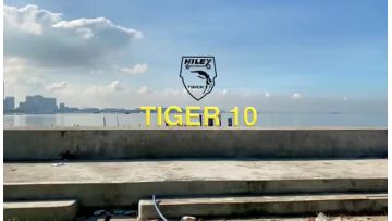 Tiger 10 promotion vedio