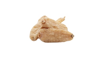 Gastrodia Elata