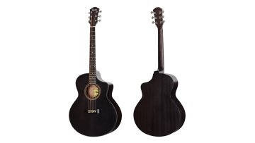 TS23-40 custom guitar