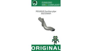 PEGASUS 302729A91
