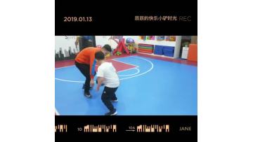 PVC basketball court for kids