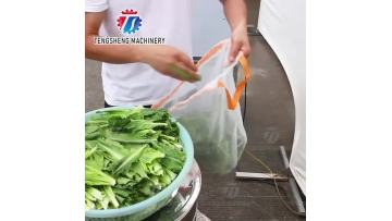 TS-T08 Commercial Electric Centrifugal Lettuce Dryer