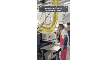 Video 16