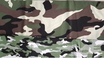 Forest Digital Camouflage Fabric