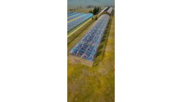 Muti-span glass greenhouse for soilless cultivation