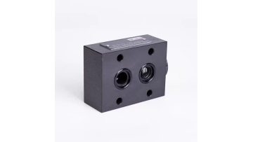 RVP12 Check valve