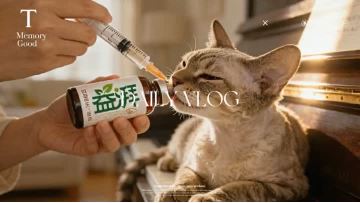 Ganoderma Lucidum and Rhodiola Rosea: A Synergistic Effect Mechanism of Two Natural Ingredients in Pet Nutritional Supplements