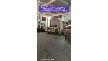 Video 30