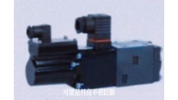 Direct-Acting Servo Proportional Valve