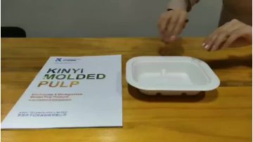 D348-Disposable Sugarcane Bagasse Pulp Molded Food Serving Tray Customized1