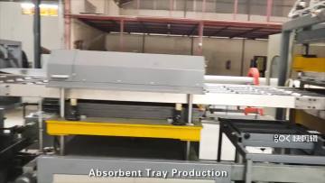 small production machine  for foam plastic dish container plate  tray food box from PS expanded , Ellie Whats 0086137809127691